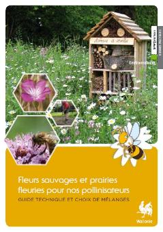 thumbnail - Fleurs sauvages et prairies fleuries pour nos pollinisateurs, guide technique et choix des mélanges